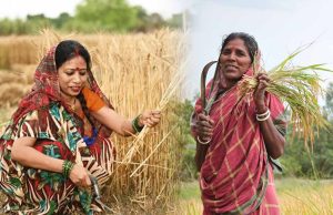मध्य प्रदेश में समर्थन मूल्य पर अनाज खरीदी को आसान बनाने के लिए गोडाउन को मिले खरीदी केंद्रों की प्राथमिकता