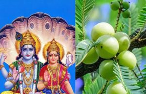 आंवला नवमी पर करें ये शुभ कार्य, जीवन में कभी नहीं आएगी धन और शांति की कमी