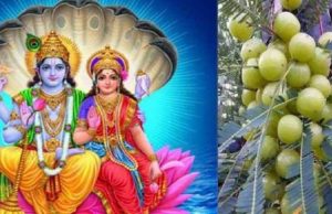 आंवला नवमी व्रत कथा: लक्ष्मी कृपा से मिलेगा धन, सुख और मोक्ष का वरदान