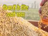 मध्य प्रदेश भावांतर योजना में 14727 किसानों से 25999 टन सोयाबीन खरीदी, जनवरी तक जारी