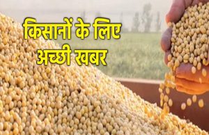 मध्य प्रदेश भावांतर योजना में 14727 किसानों से 25999 टन सोयाबीन खरीदी, जनवरी तक जारी