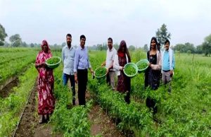 मध्यप्रदेश में क्लस्टर आधारित सब्जी उत्पादन से बदली किसानों की किस्मत, 14 जिलों में 3000 लाभार्थी