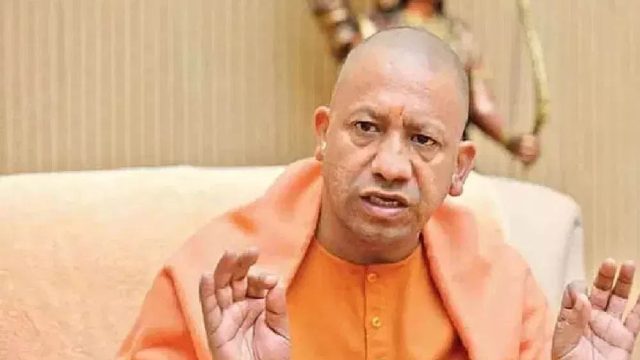yogi_98-5.jpg
