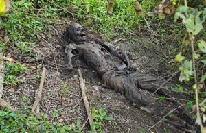 झाड़ियों में मिला नर कंकाल, पुलिस ने शिनाख्त प्रक्रिया की तेज