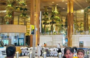 बेंगलुरु एयरपोर्ट पर सामूहिक नमाज पर विवाद, बीजेपी ने सिद्धारमैया पर जताई नाराजगी