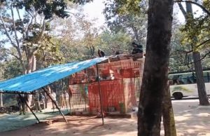 सिवनी में प्राचीन मंदिर के शेड को लेकर FIR, 16 वनकर्मियों पर कार्रवाई—अधिकारियों और हिंदू संगठन में बहस