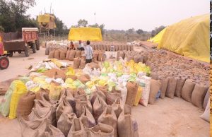 कोरिया : धान खरीदी केन्द्रों में समुचित व्यवस्था सुनिश्चित करें