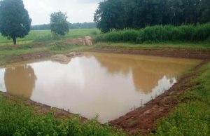 रायपुर : डबरी निर्माण से ग्रामीण आजीविका को मिल रही नई दिशा