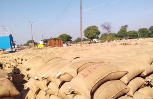 महासमुंद : धान खरीदी केंद्रों में अव्यवस्था पर तीन प्राधिकृत अधिकारी पद से पृथक