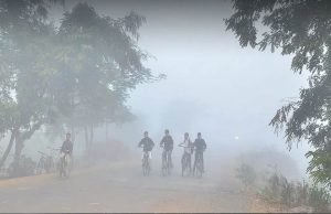 MP में कड़ाके की ठंड, पचमढ़ी में पारा 4.2°C पर, 25 शहरों में तापमान 10°C से नीचे; कई जिलों में घना कोहरा