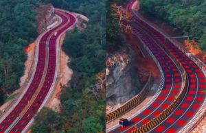 एमपी का पहला ‘रेड रोड’: गाड़ियों की स्पीड पर ब्रेक और बाघों की सुरक्षा, जानें कैसे काम करता है