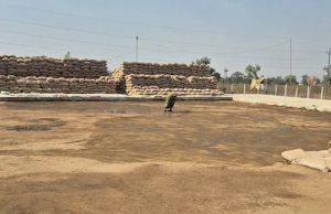 उत्तर बस्तर कांकेर : किसानों ने अब तक 2 लाख 21 हजार मेट्रिक टन से अधिक धान बेचा