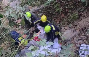 उत्तराखंड में शादी से लौट रहे परिवार की गाड़ी खाई में गिरी, 5 बारातियों की दर्दनाक मौत