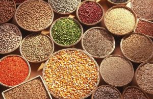 इंदौर में 12 से 14 दिसंबर तक आयोजित होगा जैविक खेती और स्वाद का महोत्सव