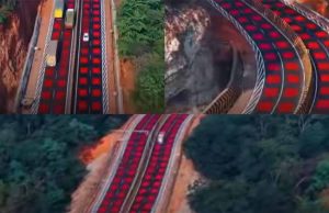 वन्यजीव संरक्षण में ऐतिहासिक कदम: मध्य प्रदेश के नेशनल हाईवे पर बनी भारत की पहली ‘रेड रोड’