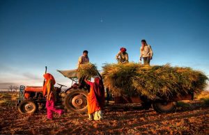 नए साल में मध्य प्रदेश को मिलेंगी खास सौगातें, युवाओं और किसानों के लिए खुशखबरी