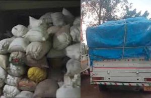 कोरिया जिले में सैकड़ों बोरी धान सहित वाहन जब्त, अवैध धान परिवहन व भंडारण पर बड़ी कार्रवाई