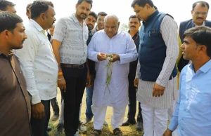 प्रदेश के ओलावृष्टि प्रभावित किसानों को मिलेगा पूरा मुआवजा – राजस्व मंत्री वर्मा