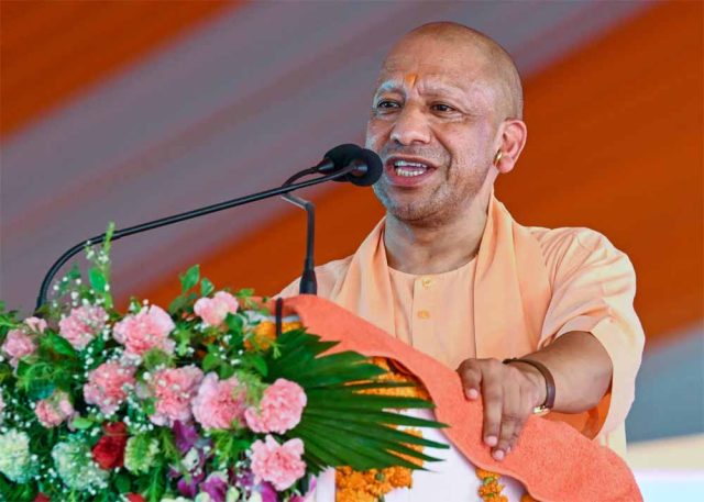 CM_yogi_01-3.jpg
