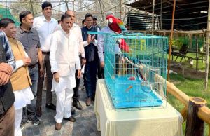 उप मुख्यमंत्री शुक्ल ने मुकुंदपुर जू का किया निरीक्षण विदेशी पक्षियों से एवियारी हुआ गुलजार