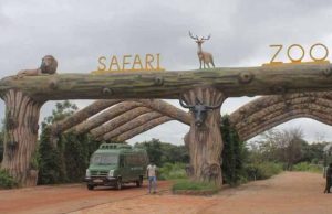 होली पर जंगल सफारी का प्लान बना रहे हैं? 3 मार्च से कुछ दिनों तक पर्यटकों की एंट्री रहेगी बंद