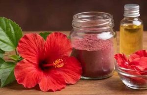 खूबसूरत त्वचा और घने बालों का प्राकृतिक मंत्र: गुड़हल के चमत्कारी फायदे