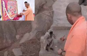 जालोर में योगी आदित्यनाथ का आध्यात्मिक शंखनाद: जौहर को बताया आत्मसम्मान का प्रतीक