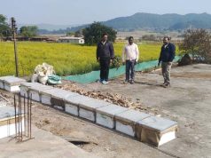 रायपुर : मधुमक्खी पालन: कम लागत में ज्यादा मुनाफे का बेहतर विकल्प