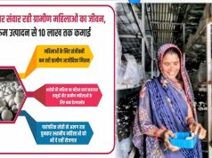 योगी सरकार संवार रही ग्रामीण महिलाओं का जीवन, मशरूम उत्पादन से 10 लाख तक कमाई