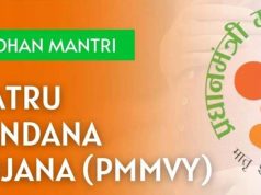 मध्यप्रदेश में महिला-नेतृत्व विकास को मजबूती, प्रधानमंत्री मातृ वंदना योजना में 91% लक्ष्य हासिल