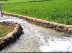 मध्य प्रदेश के 678 गांवों को चूमेगी हरियाली, वॉटर प्रोजेक्ट पर मोहन सरकार बहाएगी पैसा