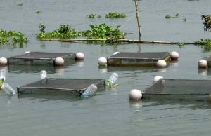 अम्बिकापुर : मत्स्य पालन हेतु जलाशयों का 10 वर्षीय लीज आबंटन के लिए आवेदन आमंत्रित