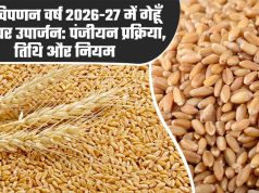 मध्यम एवं बड़े कृषकों को गेहूं विक्रय करने के लिये स्लॉट बुकिंग की सुविधा प्रारंभ