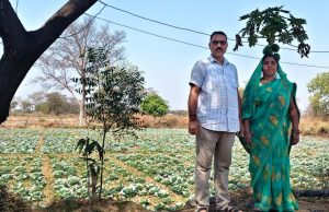रायपुर : कुआं बना जीवन में बदलाव की वजह, अब सालभर खेती