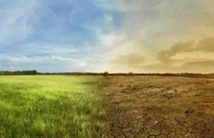 यूपी में बेमौसम बारिश और ओलावृष्टि से मिलेगी राहत, शुक्रवार से पूरे प्रदेश में शुष्क रहेगा मौसम