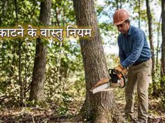 पीपल-बरगद काटना माना गया अशुभ, जानिए वास्तु में क्या कहते हैं नियम