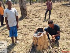 Udanti Sitanadi Tiger Reserve में अतिक्रमण की कोशिश नाकाम, वन विभाग ने 22 लोगों को किया गिरफ्तार