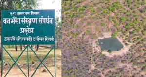 उदंती सीतानदी टाइगर रिजर्व में ‘फायर-वॉटर’ मॉडल का कमाल, 750 जल स्रोत और हाईटेक निगरानी से जंगल सुरक्षित