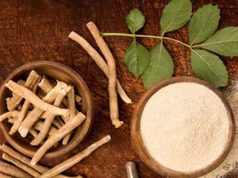 FSSAI का बड़ा फैसला: अश्वगंधा की पत्तियों पर रोक क्यों? जानें जड़ के फायदे और नुकसान