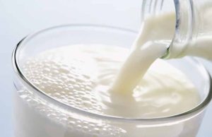 17 से होगा दुग्ध स्वर्ण महोत्सव-2026: एक साथ एकत्र होंगे 10 हजार पशुपालक/दुग्ध उत्पादक