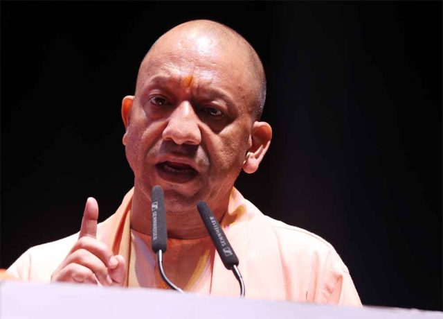 yogi-2.jpg