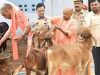 गोसंरक्षण से ग्रामोदय तक, योगी सरकार का बदलता उत्तर प्रदेश मॉडल