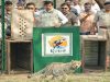 वन्यजीव संरक्षण में नए आयाम स्थापित कर रहा है मध्यप्रदेश: मुख्यमंत्री डॉ. यादव