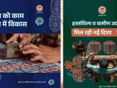 मध्यप्रदेश में कुटीर और ग्रामोद्योग को मिलेगी नई उड़ान, खादी-हथकरघा और महिला रोजगार पर फोकस
