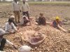 उत्तर प्रदेश में आलू किसानों को राहत की तैयारी: अन्य राज्यों में भेजा जाएगा उत्पादन