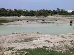 संजय झील में सैकड़ों मछलियों की मौत, पानी की आपूर्ति बाधित होने से बिगड़ा हालात