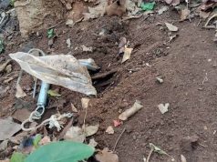 दंतेवाड़ा में बड़ा खतरा टला! प्रेशर कुकर IED बरामद, CRPF की BDS टीम ने किया डिफ्यूज