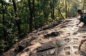 मध्यप्रदेश के जंगलों में 1000 साल पुराने पदचिन्ह, पुरातत्व विभाग की जांच जारी