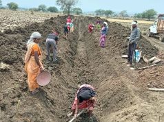पुष्पराजगढ़में ‘जल गंगा संवर्धन अभियान’ से हो रहा है नहर सुदृढ़ीकरण