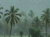 केरल में मॉनसून की रफ्तार धीमी, मौसम विभाग ने बताई देरी की वजह